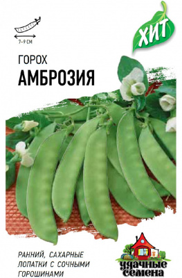 Амброзия