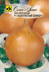 luk_repchatyj_zolotistyj_semko