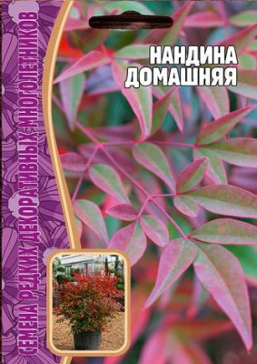 Нандина