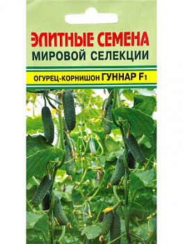 00000013052_1