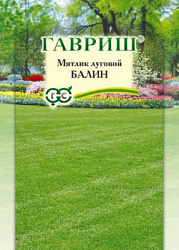 Мятлик балин