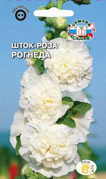 shtok_roza_rogneda_belaya
