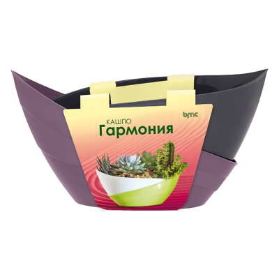 Сливовый антрацит