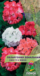 Пеларгония зональная Люстра микс