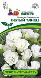 Примула Белый Танец