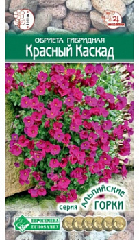 Обриета красный каскад