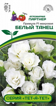 Примула Белый Танец