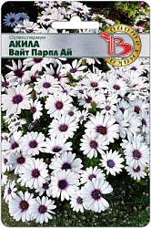 Акила вайт парпл ай
