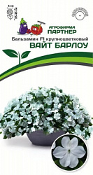 Бальзамин Вайт барлоу
