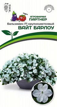 Бальзамин Вайт барлоу