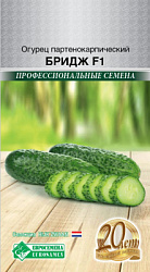Огурец Бридж