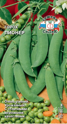 gorokh_pioner