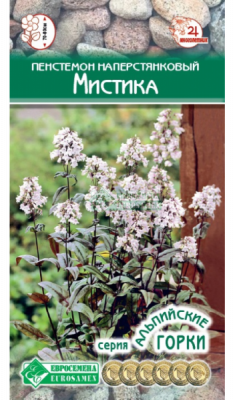 Пенстемон Мистика