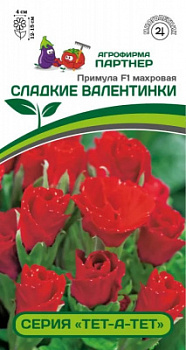 Примула сладкие валентинки