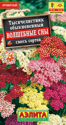 Тысячелистник Волшебные сны, смесь сортов_ЦП
