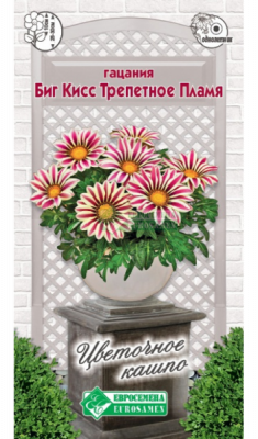 Гацания Биг Кисс Трепетное Пламя