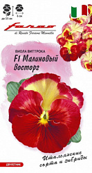 Виола  Малиновый восторг