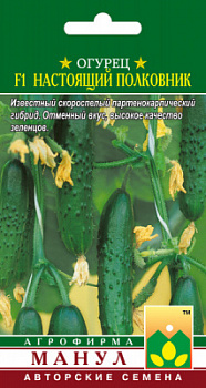Настоящий полковник
