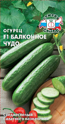 Огурец балконное чудо