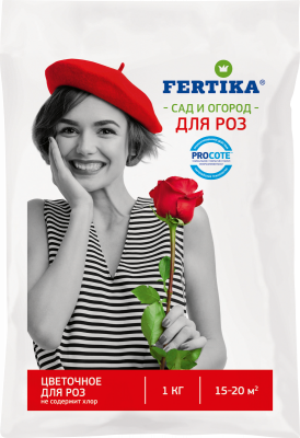 546a7b9d8b22f08f052c0d1d9b9e9864 роза