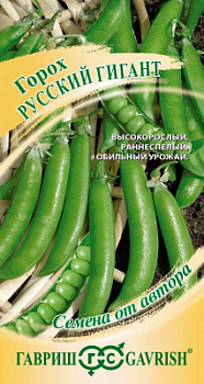 горох русский гигант