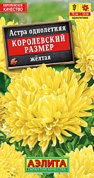 Астра Королевский размер желтая_ЦП