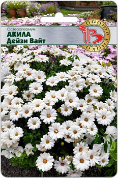 Акила Дейзи Вайт