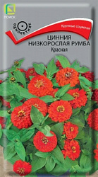 Цинния низкорослая Румба Красная