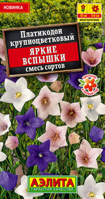 Платикодон Яркие вспышки, смесь сортов_ЦП