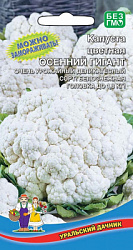 kapusta-cvetnaya-osenniy-gigant