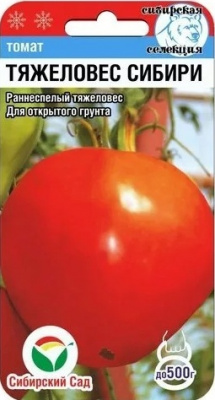 Тяжеловес сибири