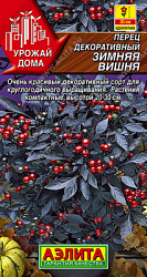 Перец декоративный Зимняя вишня