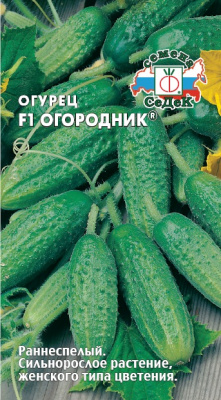 ogurets_ogorodnik_f1