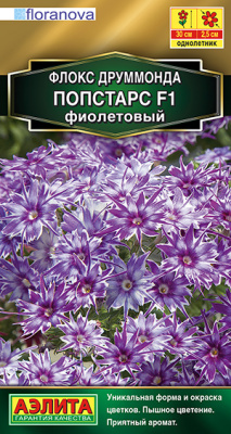 Флокс друммонда Попстарс F1 фиолетовый_ЦП