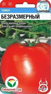 Безразмерный