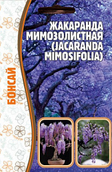Жакаранда