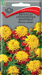 Бархатцы отклоненные махровые Желтая головка