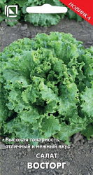 salat_vostorg