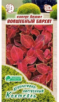 Волшебный бархат