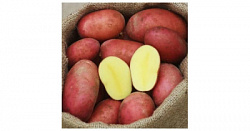 kartofel-aluet-2kg-600x315