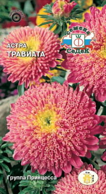 astra_traviata
