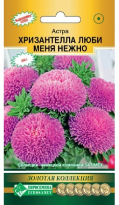 Хризантелла люби меня нежно