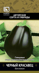 baklazhan_cherny_krasavec