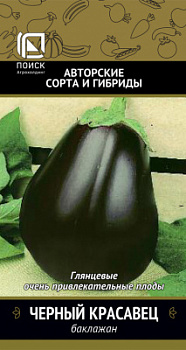 baklazhan_cherny_krasavec