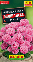 Астра Монпансье розовая_ЦП
