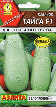 Кабачок тайга
