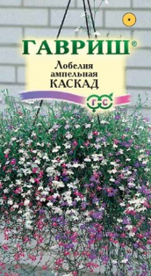 Лобелия каскад