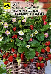 zemlyanika_alpina_raduga