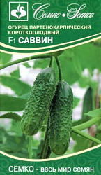 Огурец Саввин