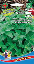 Морозное утро